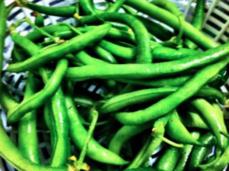 Dietary Stress to Diets that Impress?