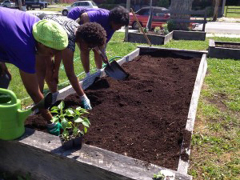 Family Farming: Saving the world’s food system?